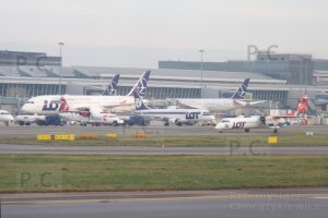 DSCF9142 (Kopiowanie).JPG