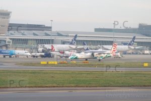 DSCF9145 (Kopiowanie).JPG