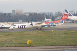 DSCF9146 (Kopiowanie).JPG