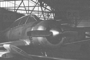 ts-8-w-hangarze.JPG