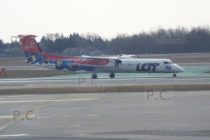 DSCF0653 (Kopiowanie).JPG