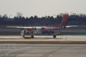 ptasie mleczko lotnisko