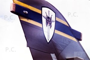 chorazykiewicz-13squadron-badge-raf.JPG