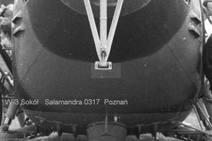 w-3-salamandra-0317-poznan.JPG