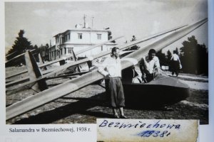 salamandra-bezmiechowa-1938.JPG