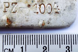 jastrzab-artefakt-pz-1004.JPG