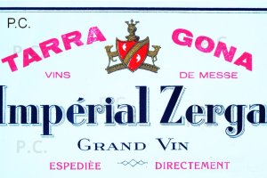 terra-gona-imperial-zerga-pc.JPG