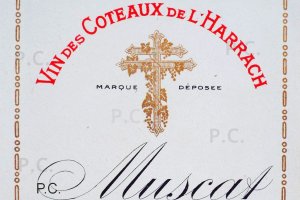 coteaux-de-l-harrach.JPG