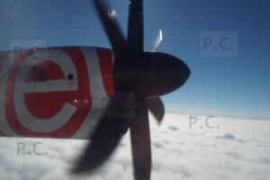 DSCF7025 (Kopiowanie).JPG