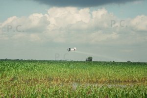 an-2-smuga.JPG