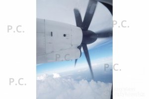 beautiful sight in flight