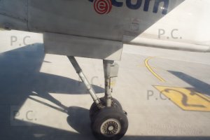 21 but not pilots black & yellow