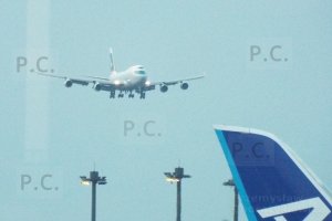 DSCF6021 (Kopiowanie).JPG