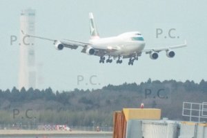 DSCF6022 (Kopiowanie).JPG