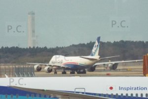 DSCF6011 (Kopiowanie).JPG