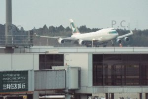 DSCF6023 (Kopiowanie).JPG