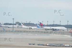 DSCF6009 (Kopiowanie).JPG