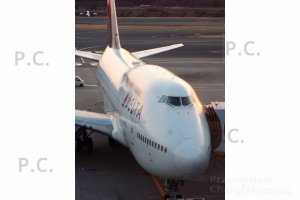 DSCF5932 (Kopiowanie).JPG