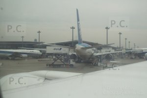 DSCF4179 (Kopiowanie).JPG