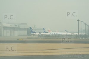 DSCF4169 (Kopiowanie).JPG