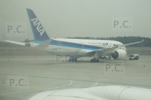 ana dreamliner japonia