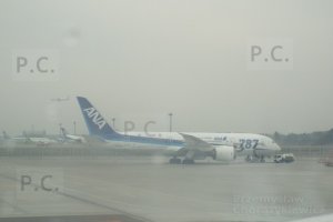 DSCF4174 (Kopiowanie).JPG