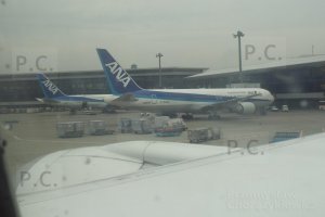 DSCF4180 (Kopiowanie).JPG