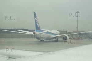 DSCF4176 (Kopiowanie).JPG