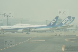 DSCF4167 (Kopiowanie).JPG