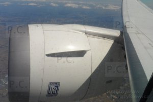 SAM_0258 (Kopiowanie).JPG