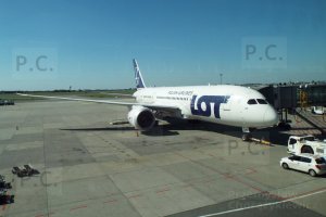 DSCF0627 (Kopiowanie).JPG