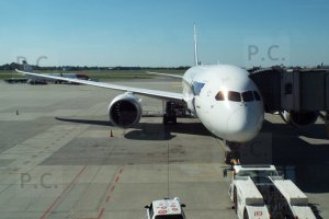 DSCF0630 (Kopiowanie).JPG