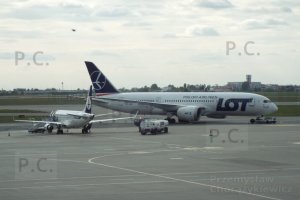 DSCF1002 (Kopiowanie).JPG