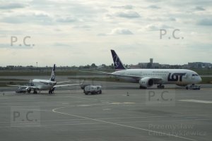 DSCF1003 (Kopiowanie).JPG