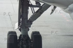 DSCF0936 (Kopiowanie).JPG